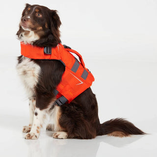 NRS CFD Dog Life Jacket