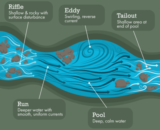 Understanding River Currents: What Every Kayaker Should Know
