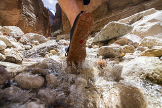 Astral Loyak M's Water Shoes