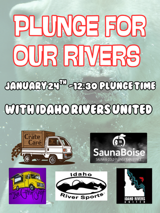 Polar Plunge for our Rivers