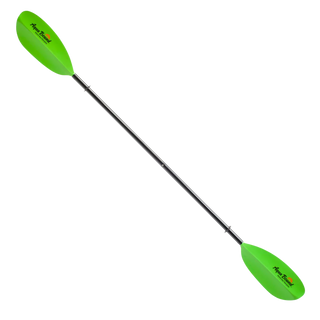 Rental Rec Kayak Paddle