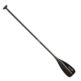 Rental SUP Paddle