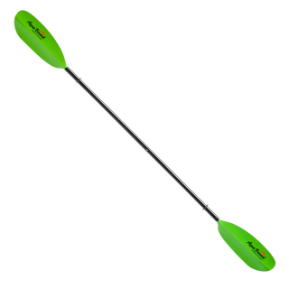 Rental Rec Kayak Paddle