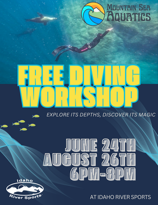 Freediving Workshop w/ Mountain Sea Aquatics